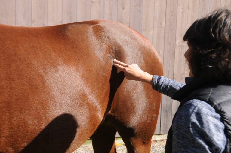 10-CrossFiberFriction2_DSC_4096