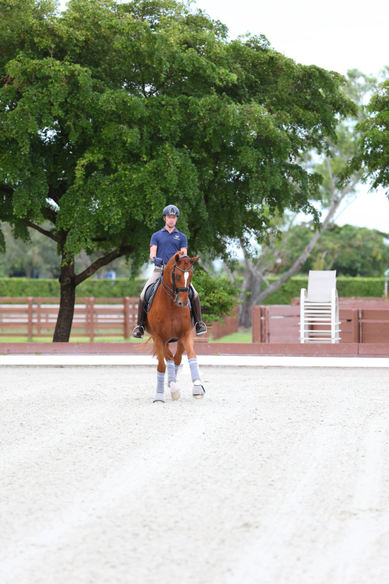 17SS0111©SusanJStickle