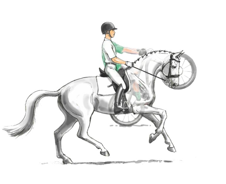 BikeWheelie Solutions