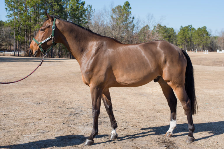 Body Clipping Opening 23 after clip 2