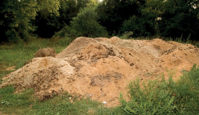 Boost Fly-Control Strategies promo image