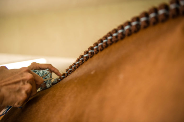 Braiding Opener WEF-18-0108-AD1a-722