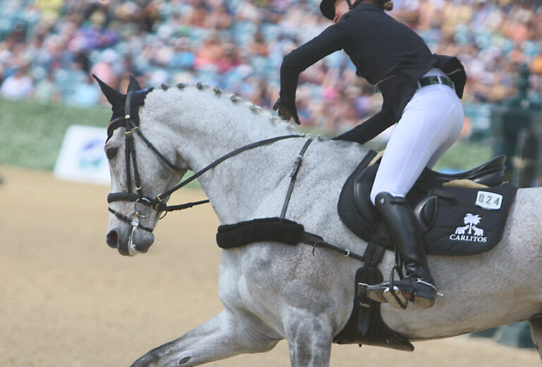 CleanBreeches_Thumbnail_1