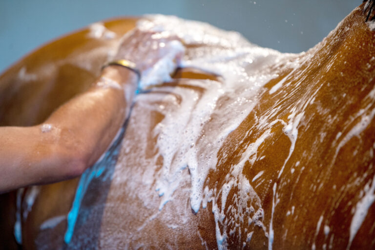 ColdWeatherBathing_1