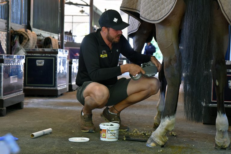 Danny Ingratta and Magic Cushion