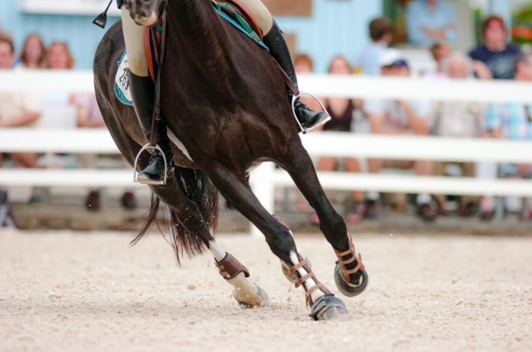 DEV-10-0531-C2C1-949