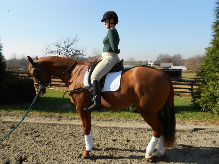 Jim Wofford Back to Basics