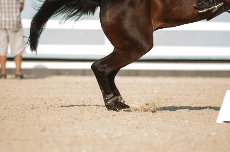 DVN-12-0528-C0C3-320