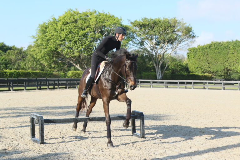 Geoffrey_Tracks8 copy