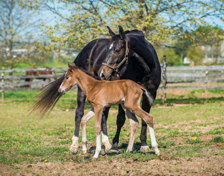 Health Update promo image