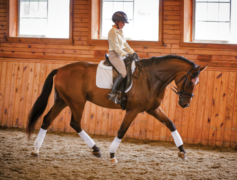 how-do-i-keep-my-horses-head-down-in-transitions-promo-image