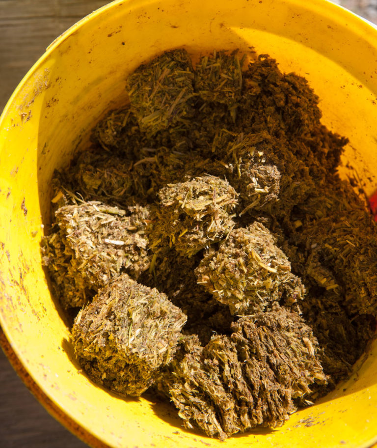 How to Keep Weight on a Senior Horse promo image