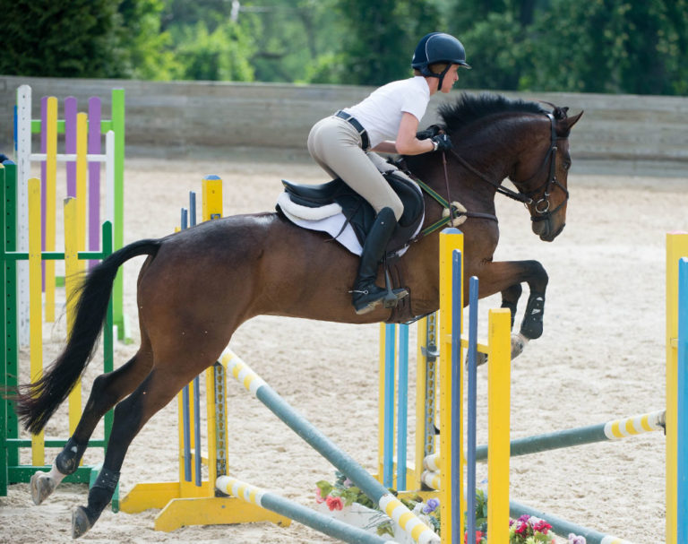 How to Stop Your Horse from Swapping Leads promo image