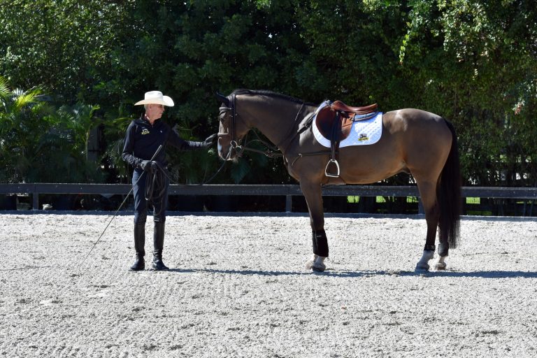Ian Millar lunging a horse