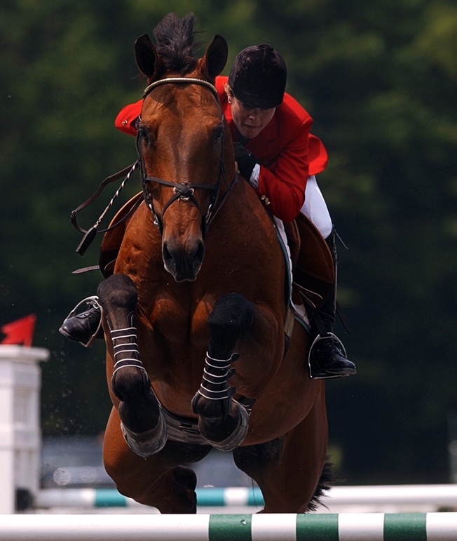 Margie Engle Perin 2002CROP