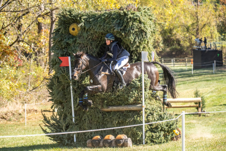 Lillian HEARD WOODUSALCC Barnaby