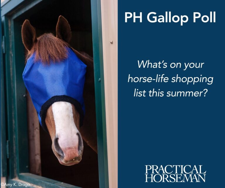 PH Gallop Poll_ Summer Shopping