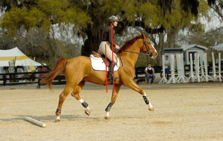 Key Take-Home Messages from AAEP’s Internal Parasite Disease G