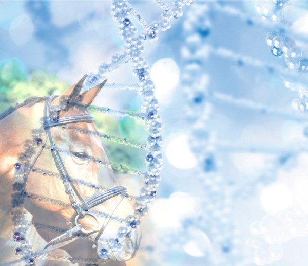 PRHP-150300-GENES-01