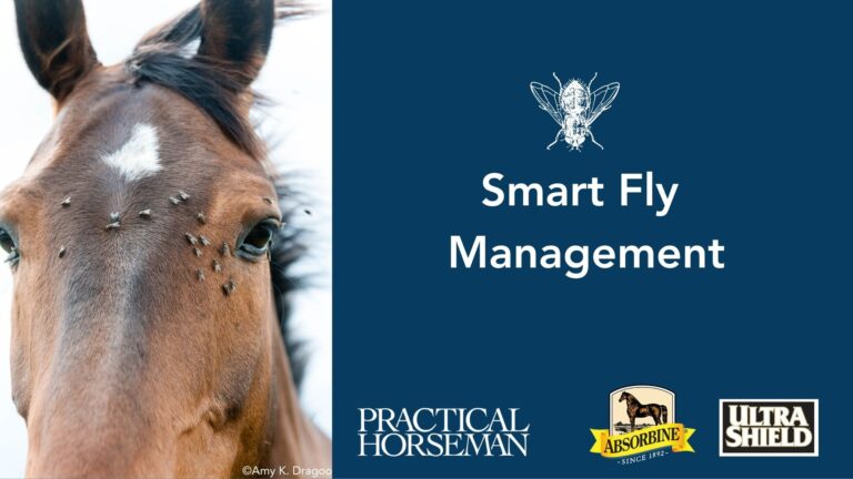 Smart Fly Management