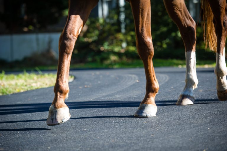 STK-15-1017-DSC1-259