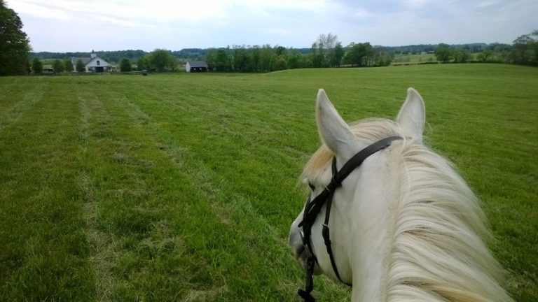 Summerriding