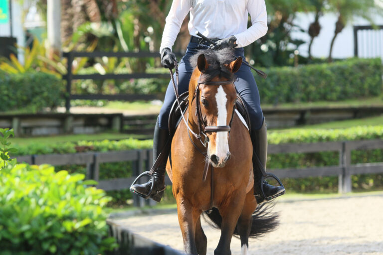 Transition_Thumbnail