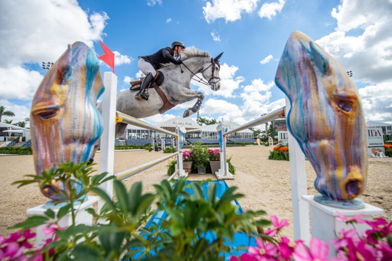 STAKKATANANDRZEJ OPLATEK