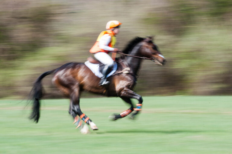 Sharon WhiteUnder Suspection