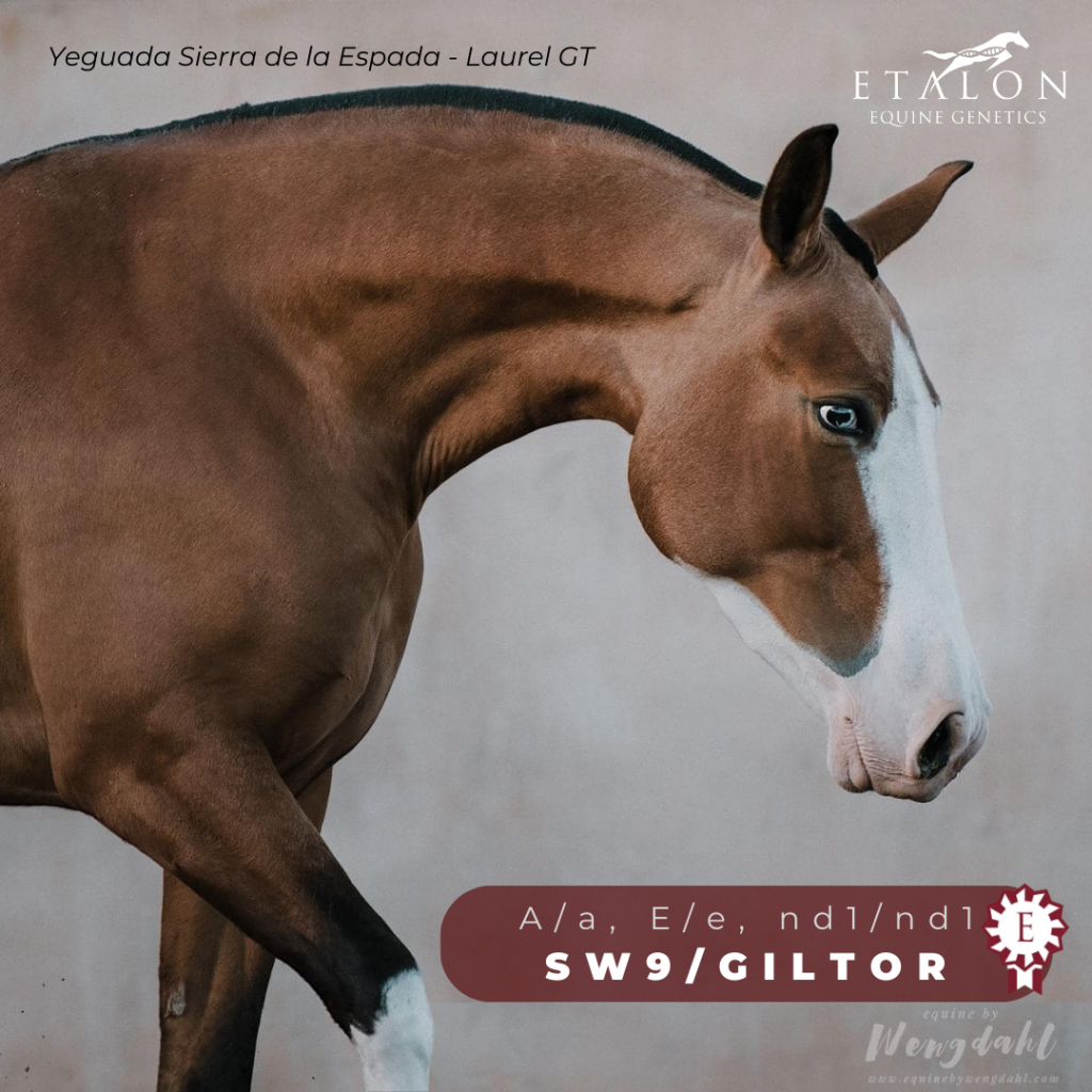 Etalon Equine Genetics