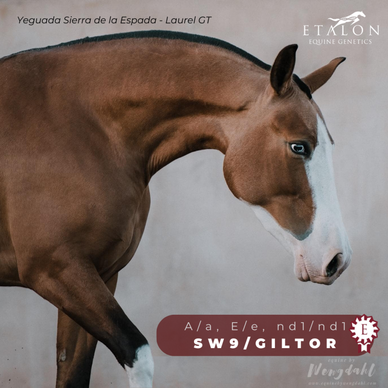 Etalon Equine Genetics