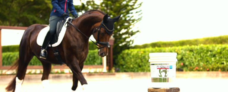 Joints with Platinum