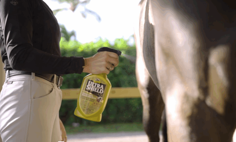 LaineAshker_UltraShieldGold_PHOTO