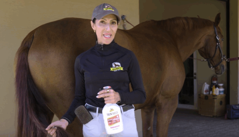 LaineTip3_FeaturedImage